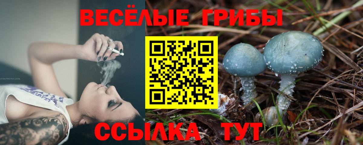 Псилоцибиновые грибы мицелий Нефтеюганск